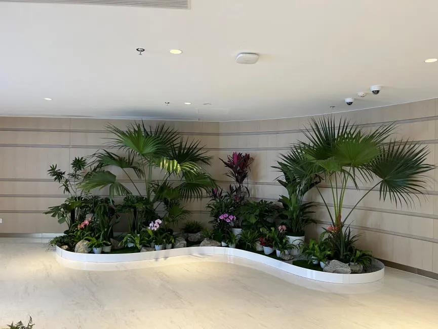 超赞！江北植物租赁设计的创意玩法大公开